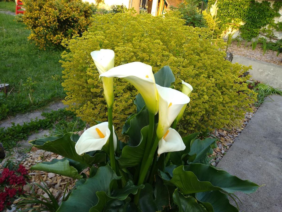 La Ribambelle Bed & Breakfast Saint-Brisson-sur-Loire Екстериор снимка